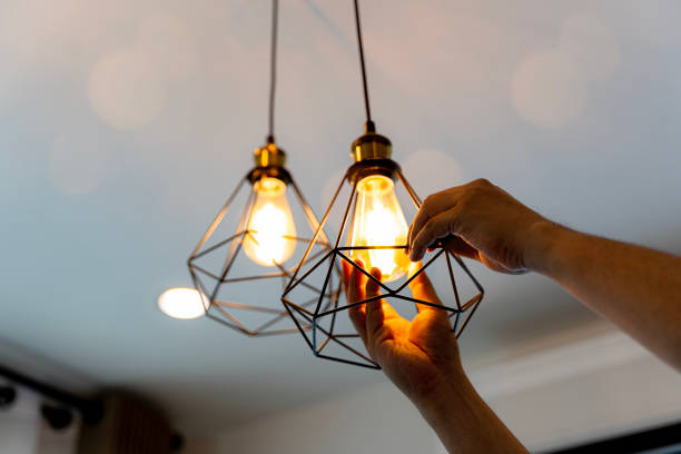 Best Local Electrician Companies  in Genesee, ID