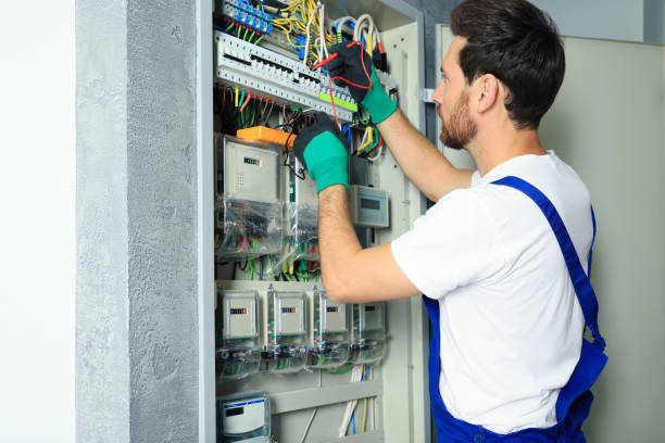 Best Electric Panel Repair  in Genesee, ID